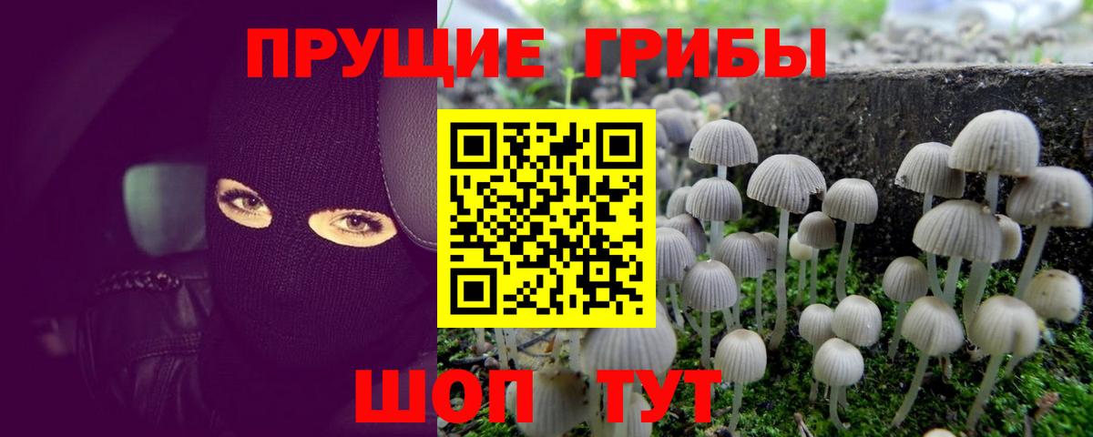 Бутурлиновка  Галлюциногенные грибы ЛСД  купить   Вход с VPN  Галлюциногенные грибы мицелий 
